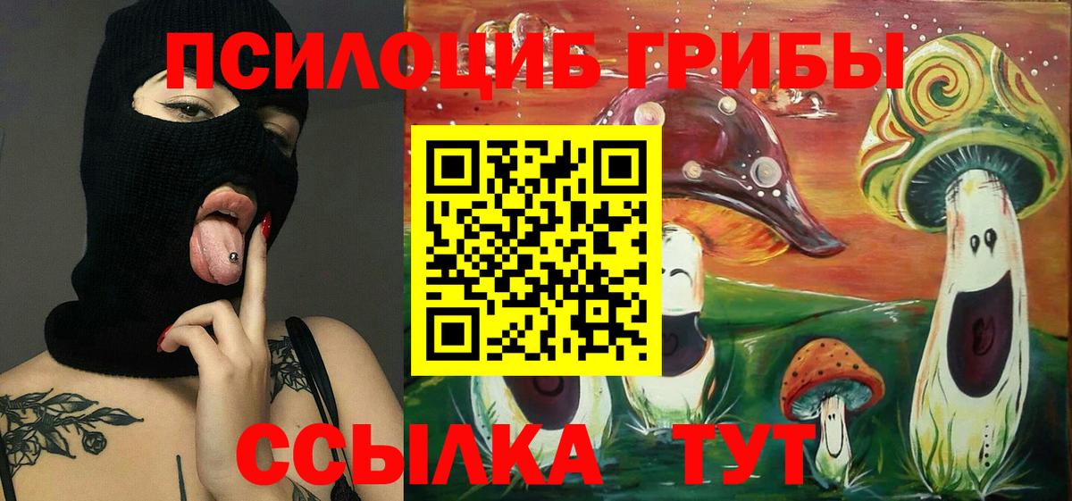Галлюциногенные грибы прущие грибы  Вход с VPN  Будённовск 