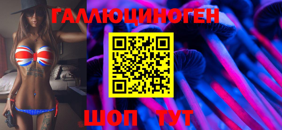 Псилоцибиновые грибы мицелий Будённовск