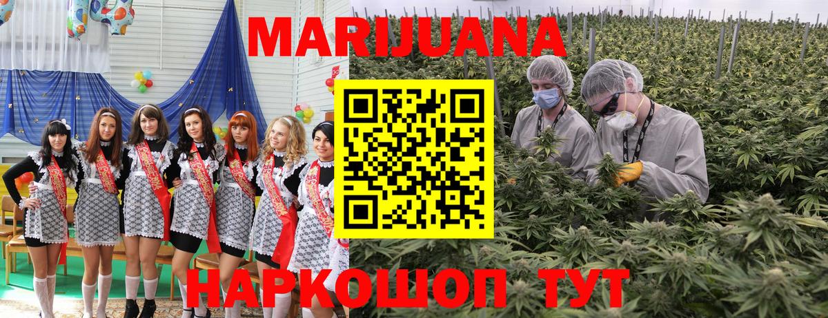 Будённовск  Конопля гибрид  МАРИХУАНА Bruce Banner  Бошки марихуана индика  Вход с VPN 